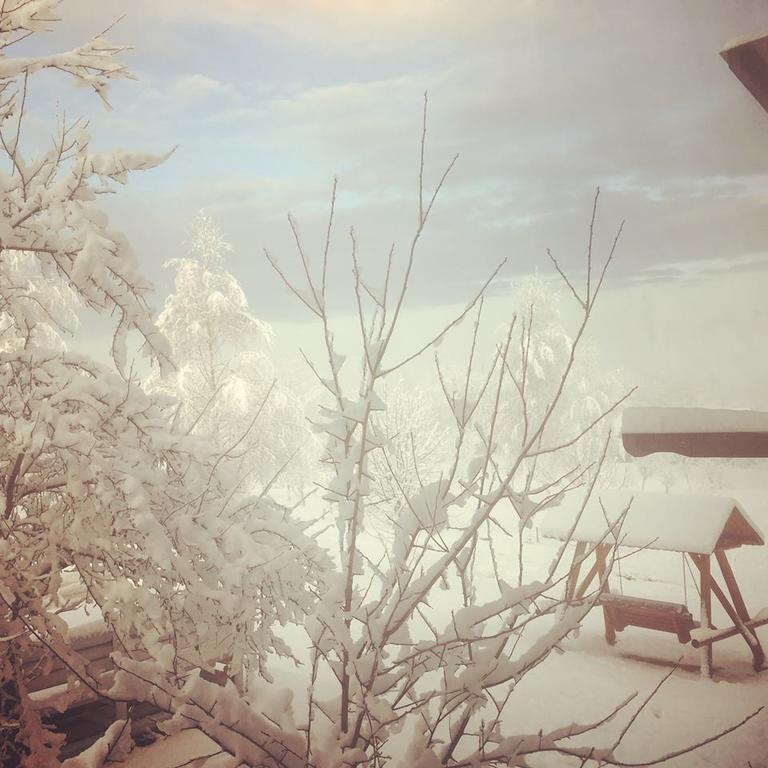 Pensiunea Gradina Ascunsa Bughea de Jos Exterior foto