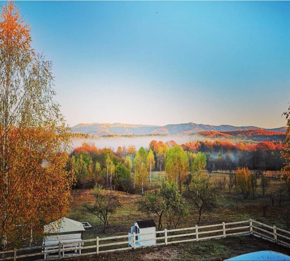 Pensiunea Gradina Ascunsa Bughea de Jos Exterior foto